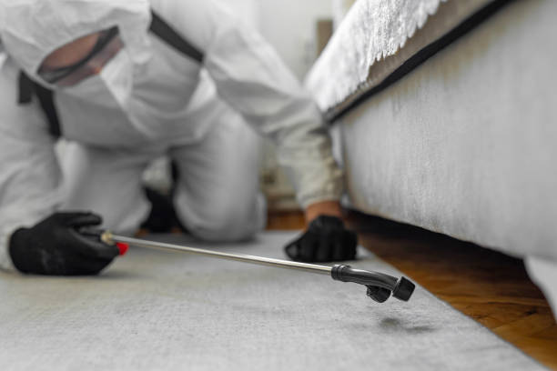Professional Cockroach Control technician working in Laguna Beach, FL